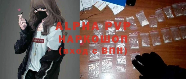 стаф Аркадак