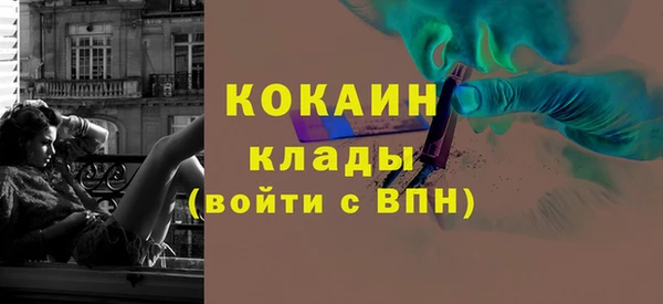стаф Аркадак