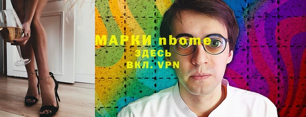 стаф Аркадак