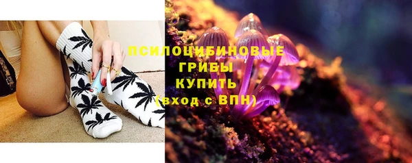 спиды Арсеньев