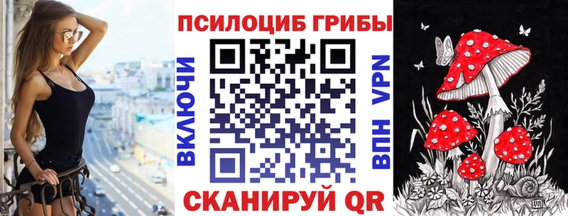Псилоцибиновые грибы Psilocybe  Хотьково 